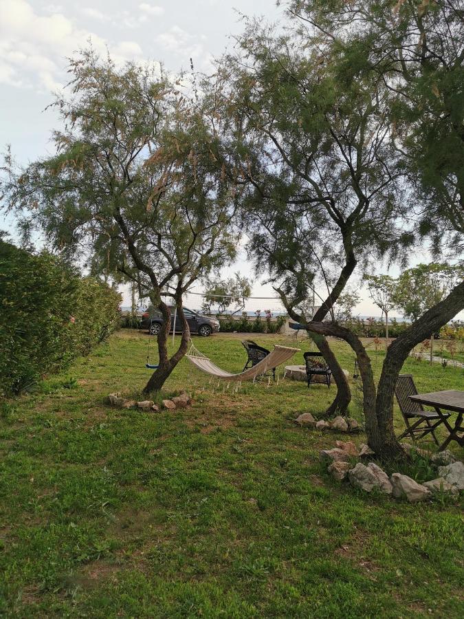 Velipojë Beachfront, Tirana Guest House מראה חיצוני תמונה