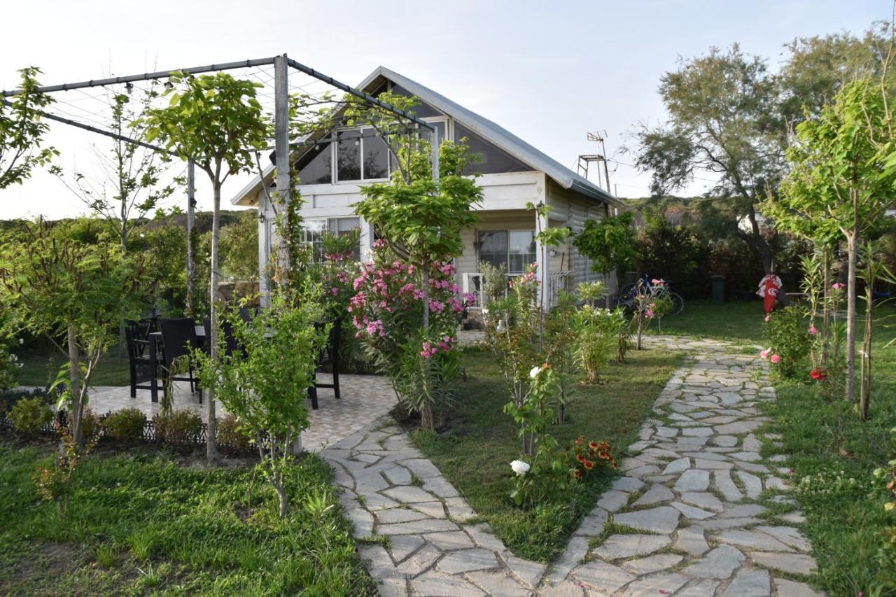 Velipojë Beachfront, Tirana Guest House מראה חיצוני תמונה