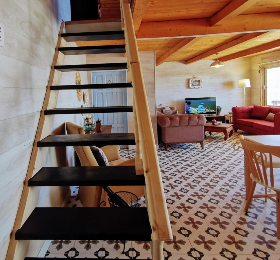 Velipojë Beachfront, Tirana Guest House מראה חיצוני תמונה