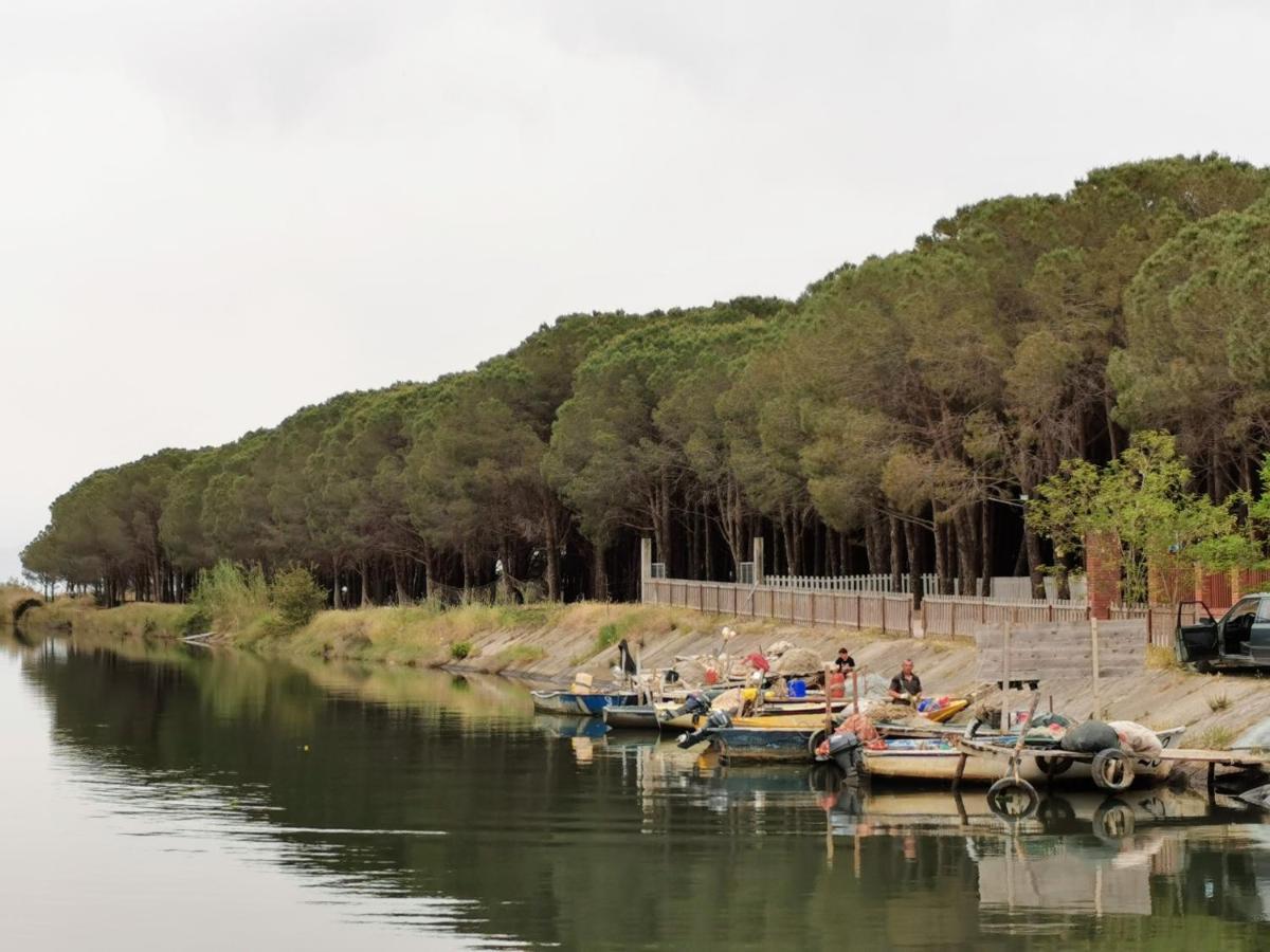 Velipojë Beachfront, Tirana Guest House מראה חיצוני תמונה